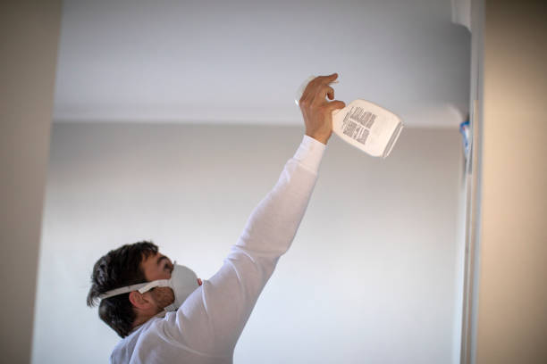 Trusted Shenandoah, TX Mold Removal Experts